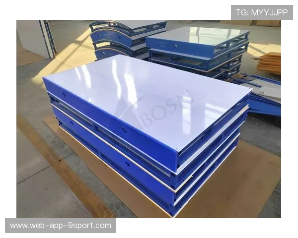 高密度聚乙烯冰球场围栏确保运动员安全，提升比赛体验